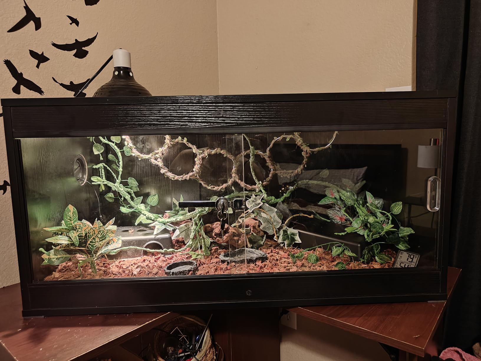 unipaws 110 Gallon Reptile Tank for Lizards, Bearded Dragon Enclosure Cage | Stackable, Glass Sliding Doors, Cable Port, Large Lockable Black Terrarium customer photo 1