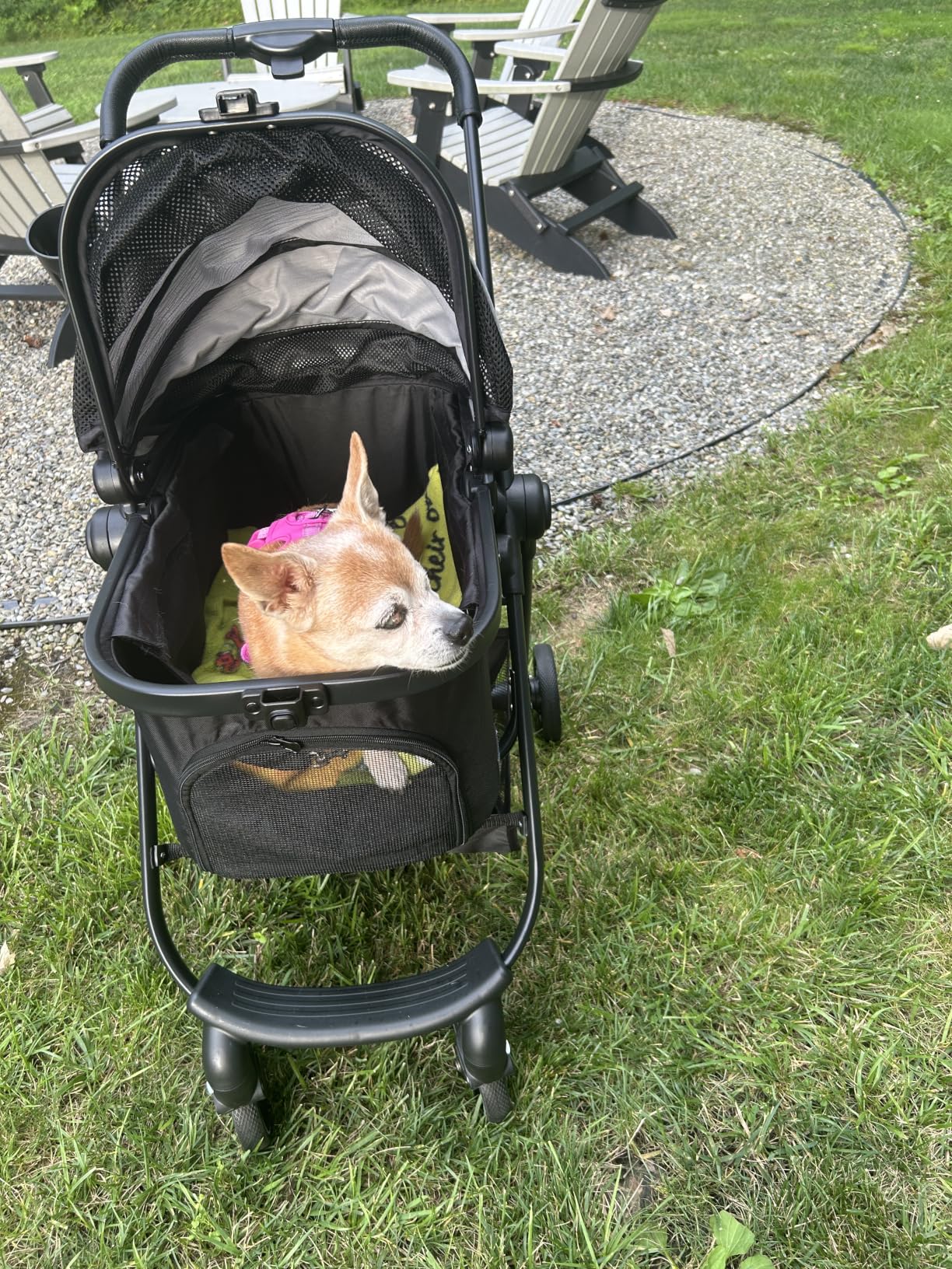Pet Stroller for Small Dogs and Cats, One-Click Foldable Dog Stroller with Detachable Carrier & 3 Safety Tethers, Holds up to 33 lbs, Storage Basket & Cup Holder, Breathable Mesh, Black customer photo 1