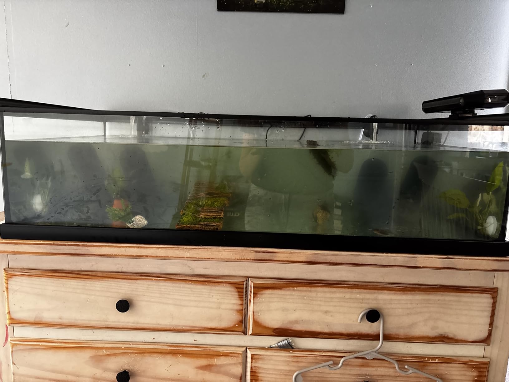 AQUASMITH Aquarium Chiller Fan, Fish Tank Cooler with Temperature Control, Minimum Setting 59℉, Auto Start/Stop, Refrigeration Effect 3-7℉, 3-Speed Modes, for Axolotl Seawater Freshwater Coral Grass Tank customer photo 2