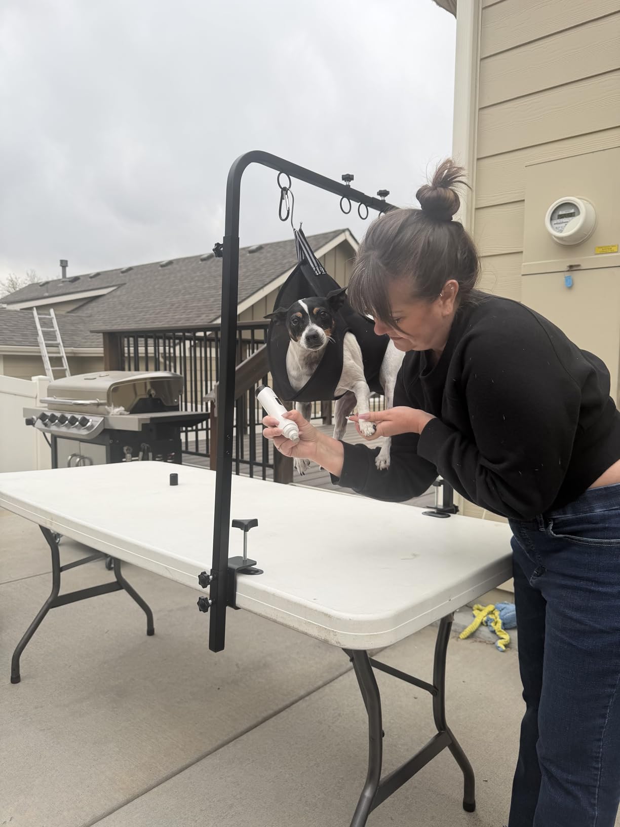 Adjustable Pet Grooming Arm for Table: 42