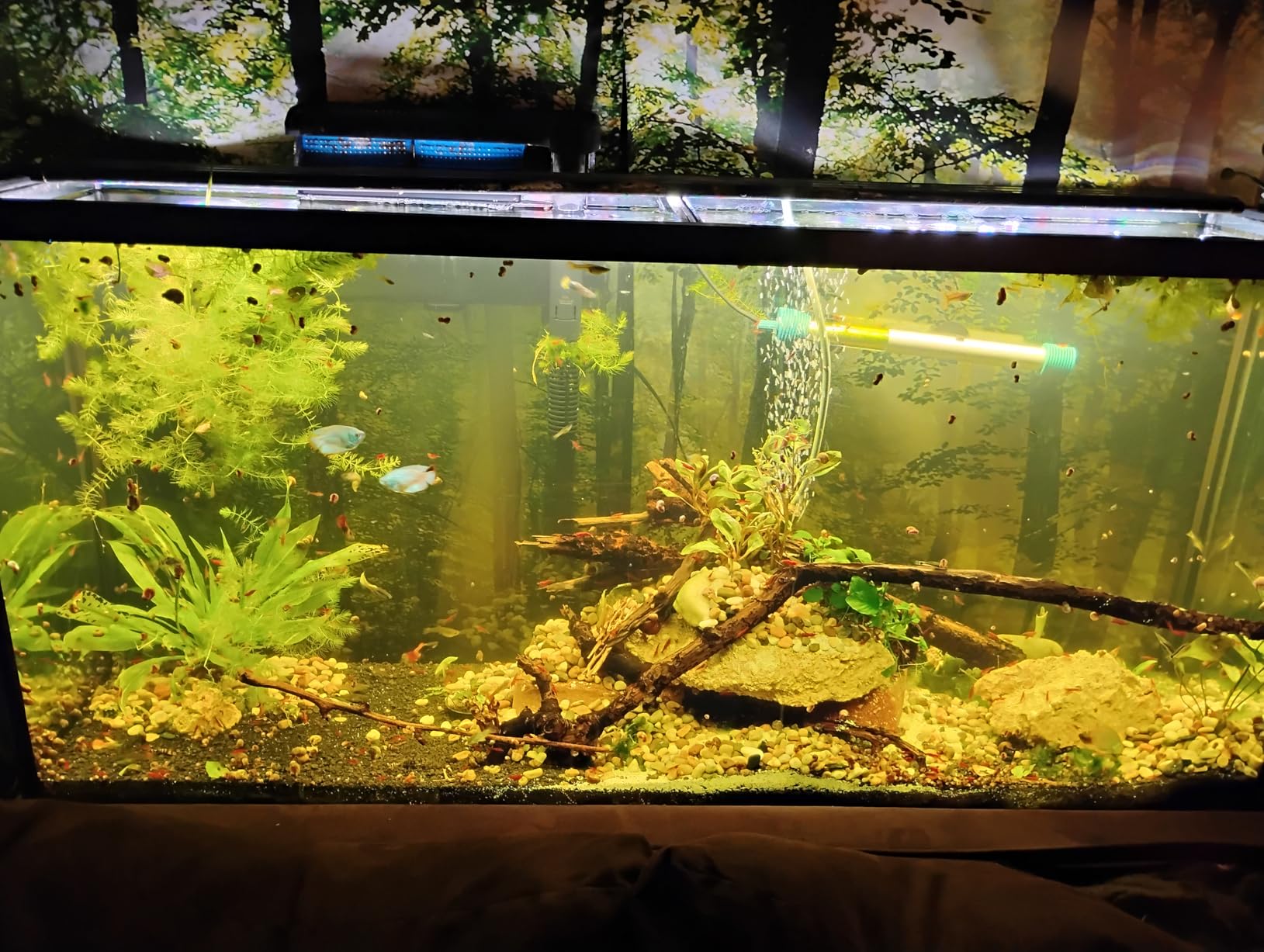 SEAOURA WRGB Aquarium LED Light for 12-18in Freshwater Fish Tank | high PAR full spectrum, 9 colors+20 dimming, 3 timers+memory, temp alarm, adjustable bracket, aluminum shell, SR-659 customer photo 2