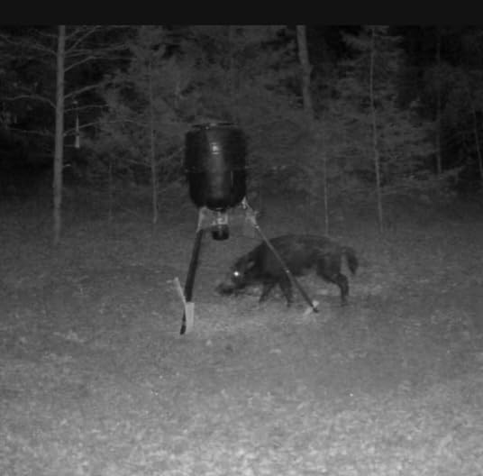 Moultrie Deer Feeder Connected - 250 Lb, Tripod Deer Feeder, Cellular | Manage your Feeder from Anywhere, cellular monitoring, feed level detector, 4G LTE auto-connect, nationwide coverage customer photo 2