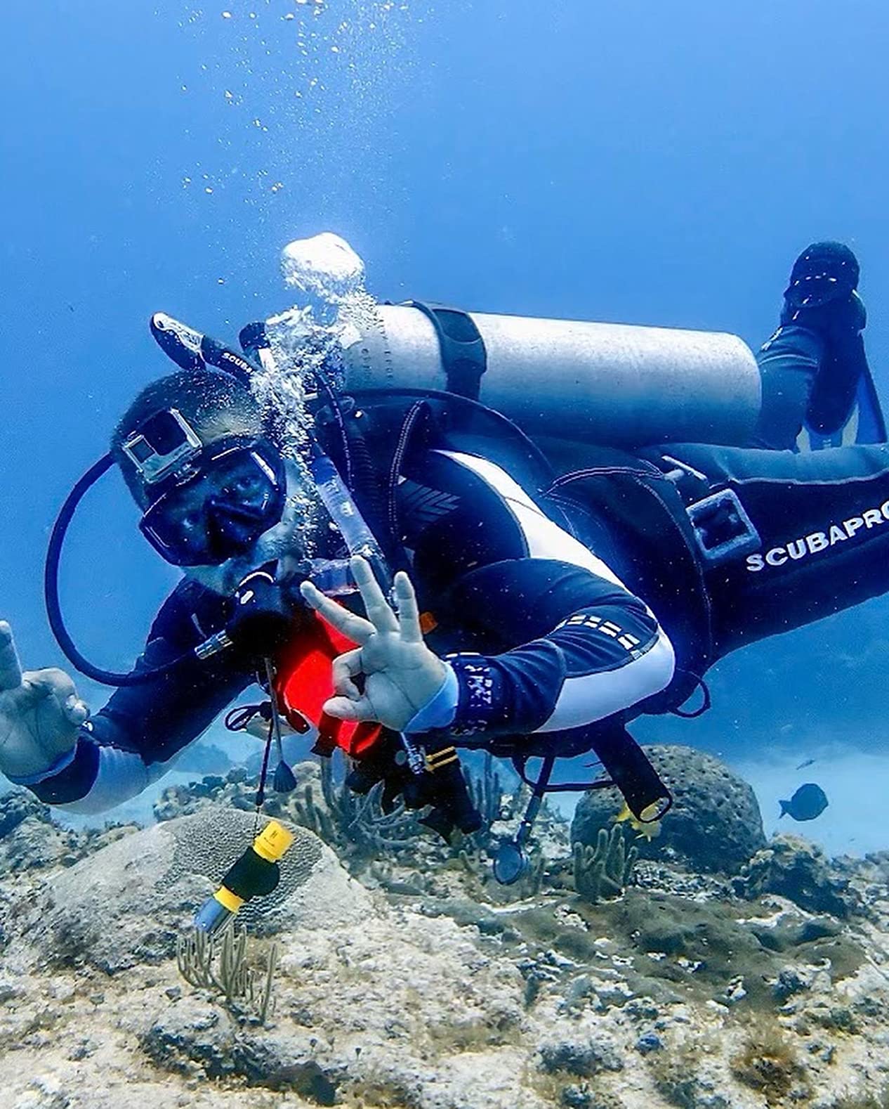 Dive Light Scuba Flashlight 2 Pack IPX8 Waterproof 3 Modes, T6 LED Bulb, High Lumens, Wristband & Lanyard Included, for Night Diving & Snorkeling customer photo 2