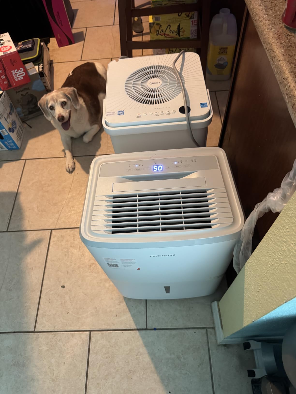 Frigidaire 50 Pint Dehumidifier w/Wifi | Portable, Quiet, Energy Efficient customer photo 2