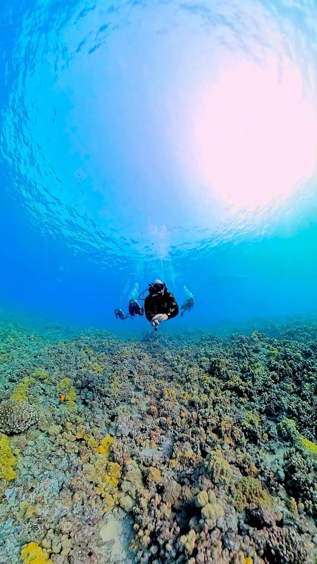 Insta360 X4 Air Invisible Dive Case | IPX9K waterproof seal with dome design and ABS case for diving, 360 footage and underwater protection customer photo 1