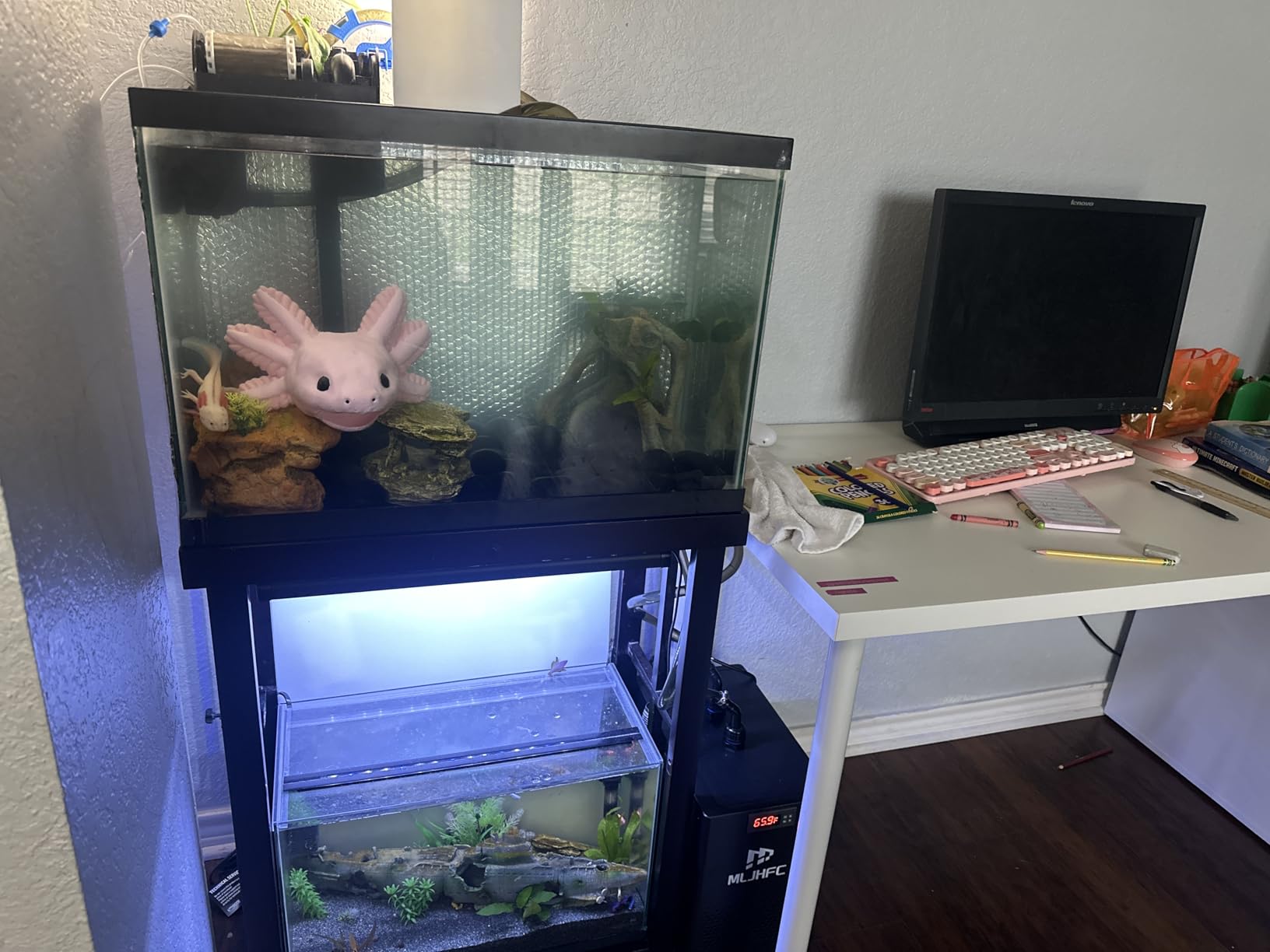 42Gal Aquarium Chiller 1/10HP 160L Quiet Compressor Cooler | quiet compressor refrigeration, for coral reef, jellyfish, salamander tanks, hydroponic systems, stable cooling performance customer photo 2