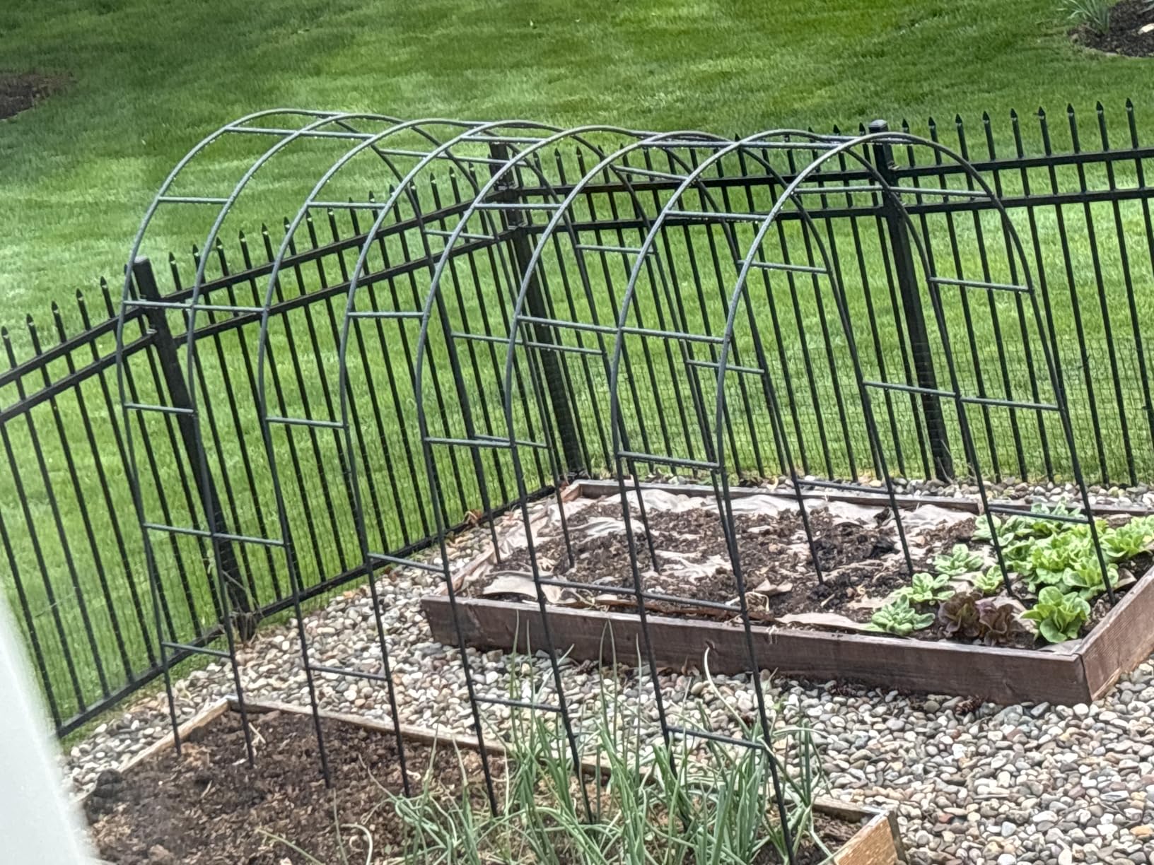 Thickened Rustproof Garden Arch Metal Trellis for Climbing Plants | Outdoor Wedding Arch Garden Arbor Frame Archway 4.9 x8.1 or 7.9 x6.7Ft Flower Arches for Bridal Xmas Party Decoration (Black) customer photo 1