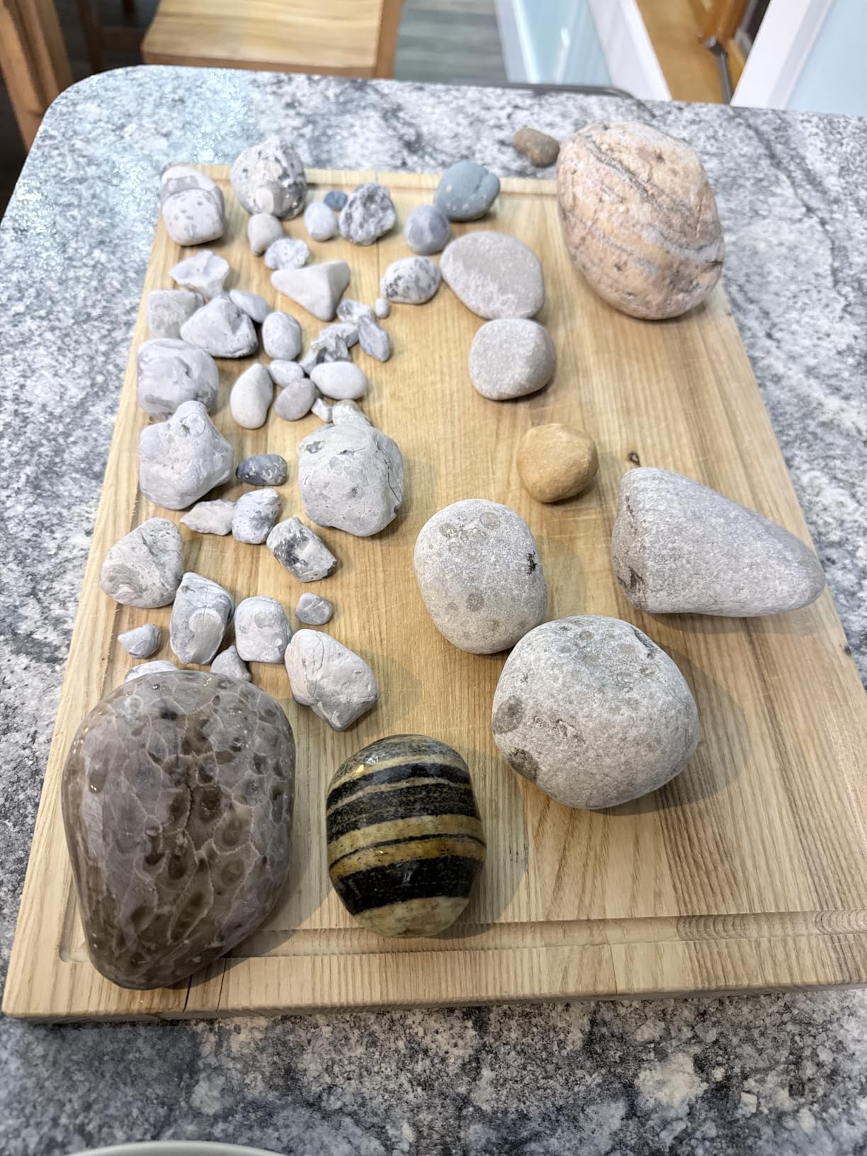 6'' Flat Lapidary Machine Variable Speed Lapidary Equipment | 2800RPM Cabbing Machine, 180W Gem Stone Rock Grinding and Polishing Machine Includes Accessory Kit customer photo 1