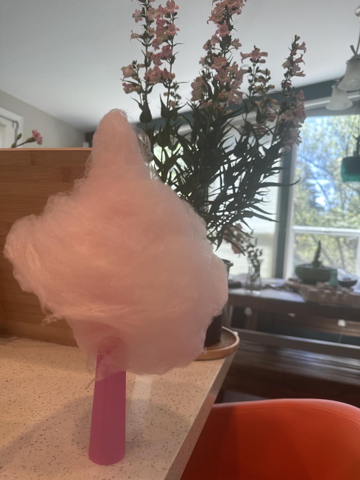 Nostalgia Countertop Cotton Candy Machine - Use Normal or Sugar-Free Candy or Flossing Sugar - Includes 2 Reusable Cones and Measuring Scoop - Pink customer photo 2