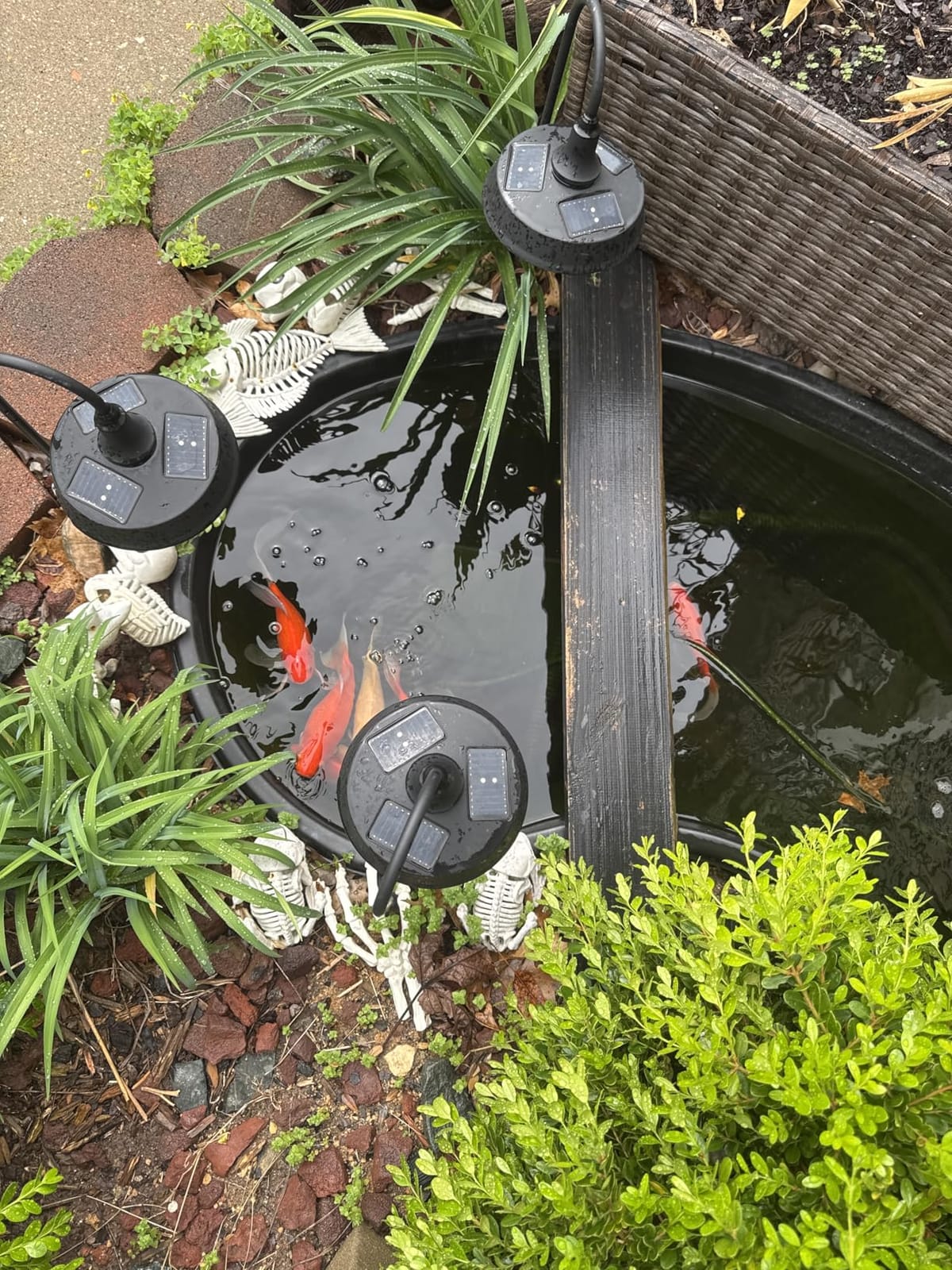 Submersible Pond Filter with Powerful 18W UV Light for Pond Algae Control | 660 GPH 42W High-Performance Pump Build in for 1500 Gal Pond, 3 Spray Patterns Pond Fountain Decoration for Your Pond customer photo 2