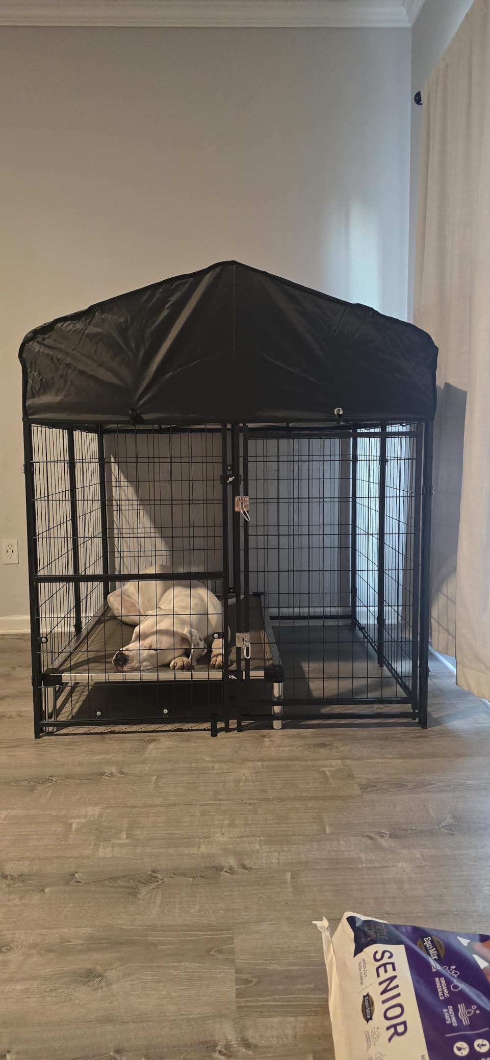 Dog Kennel Outdoor, Weatherproof Outside Dog Kennel with Roof & Swivel Feeders and Removable Dog Door, Heavy Duty Outdoor Kennels Dog Enclosure Run for Medium Large Dogs (8'L x 4'W x 6'H) customer photo 1