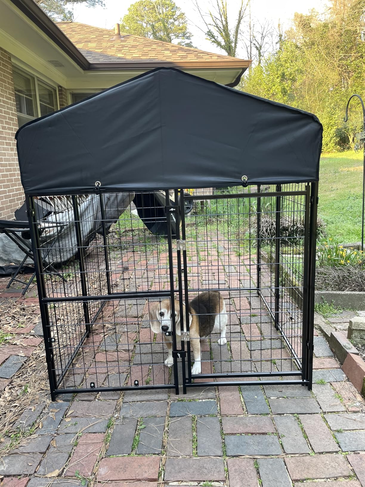 Dog Kennel Outdoor, Weatherproof Outside Dog Kennel with Roof & Swivel Feeders and Removable Dog Door, Heavy Duty Outdoor Kennels Dog Enclosure Run for Medium Large Dogs (8'L x 4'W x 6'H) customer photo 2