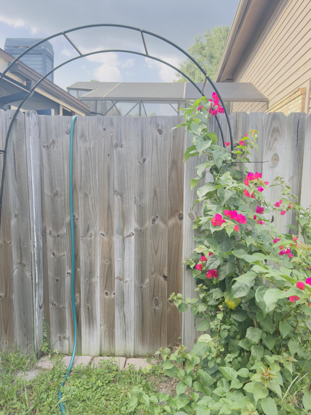 Garden Arch - 87