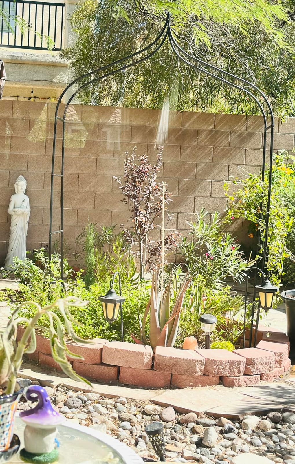 Thick Gothic Pointed Metal Garden Arch Rust-Proof for Climbing Vines Roses | 8.5 ft H x 4.8 ft W, 16mm Steel Tube Arbor for Plants, Clematis, Jasmine, Party Decor for Wedding, Halloween, Christmas customer photo 2