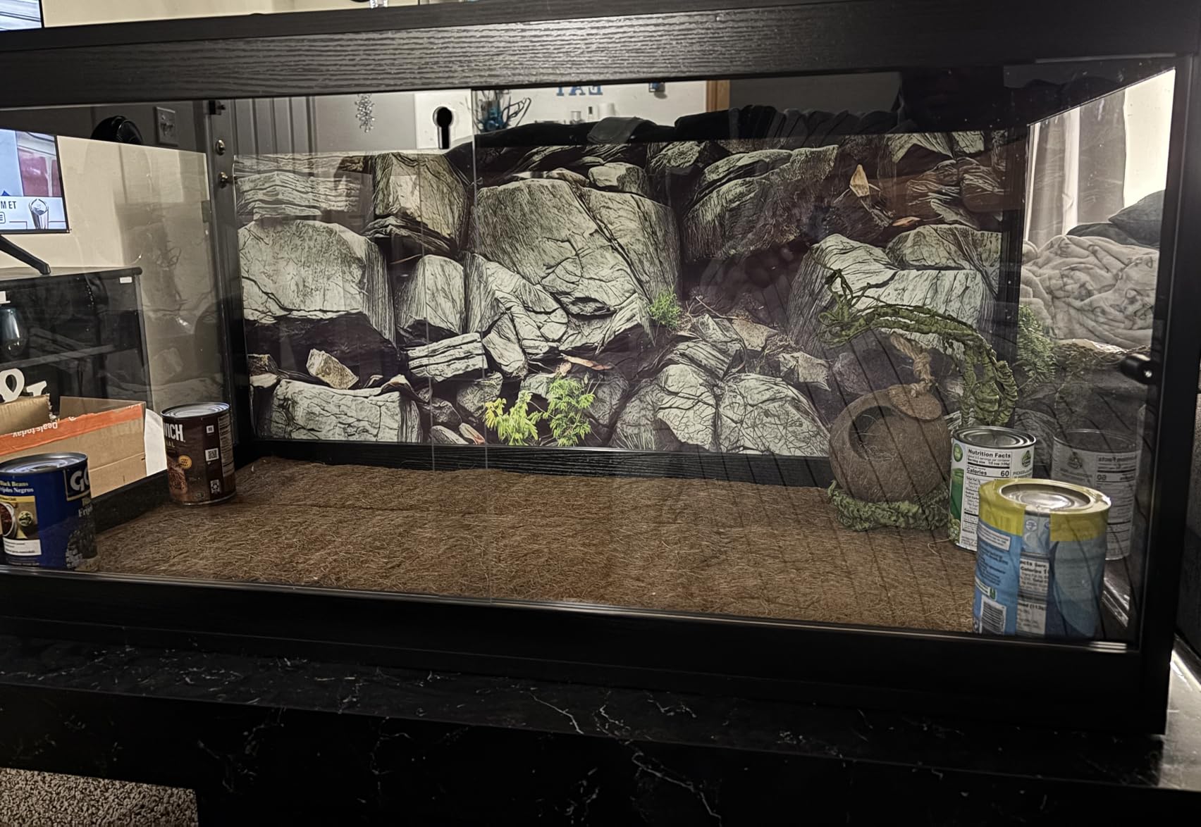 Bearded Dragon Tank 81 Gallon, 48 x 20 x 20 Inch Wooden Reptile Enclosure with Metal Mesh Top, Clear Acrylic Sliding Doors and Lock, Large Lizard and Snake Tank, Black customer photo 1