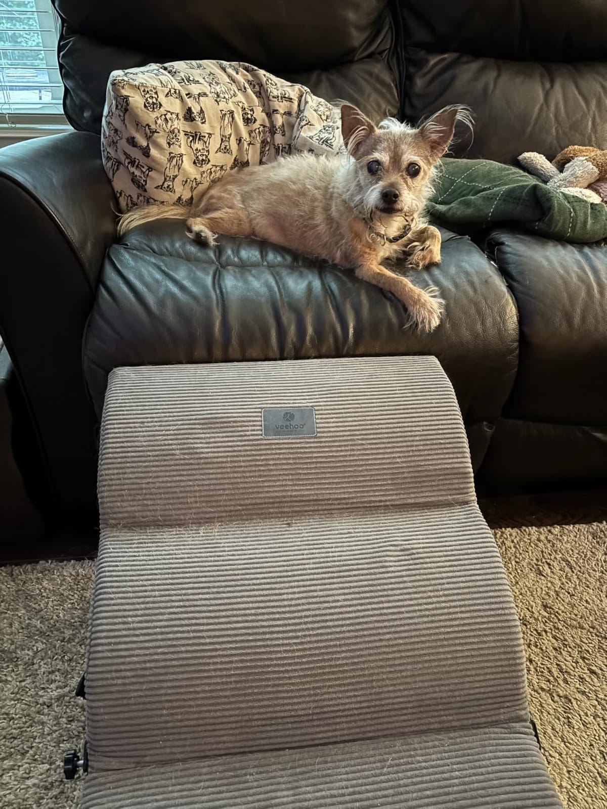 Veehoo Dog Ramp for Bed Couch Small Large Dogs, Foldable Pet Ramp 17