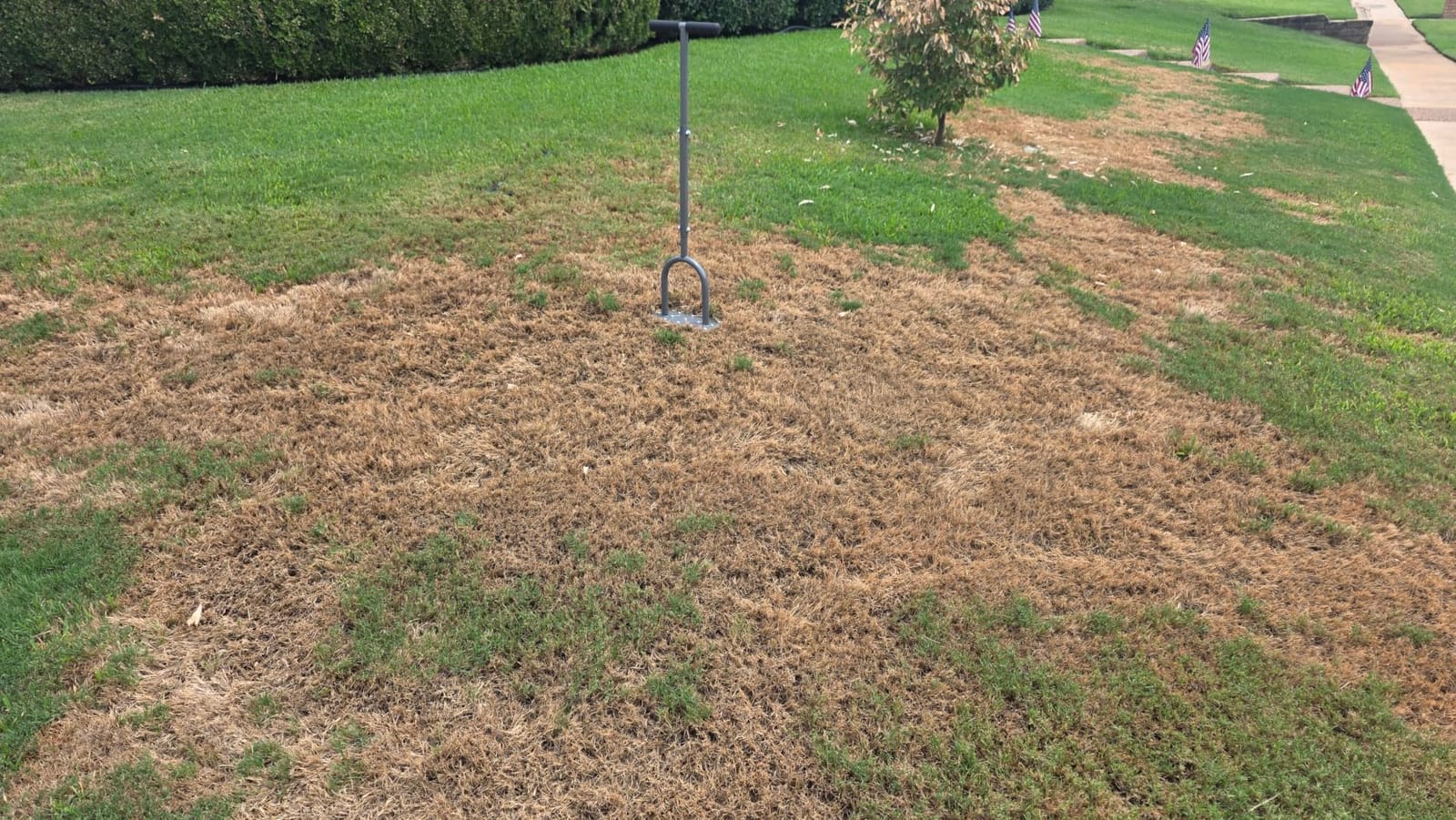 Walensee 4-Row Lawn Aerator Tool with 20 Steel Spikes for Small Yards - Garden Lawn Aerator Tool Creates 20 Small Holes Per Press for Grass Aeration customer photo 2