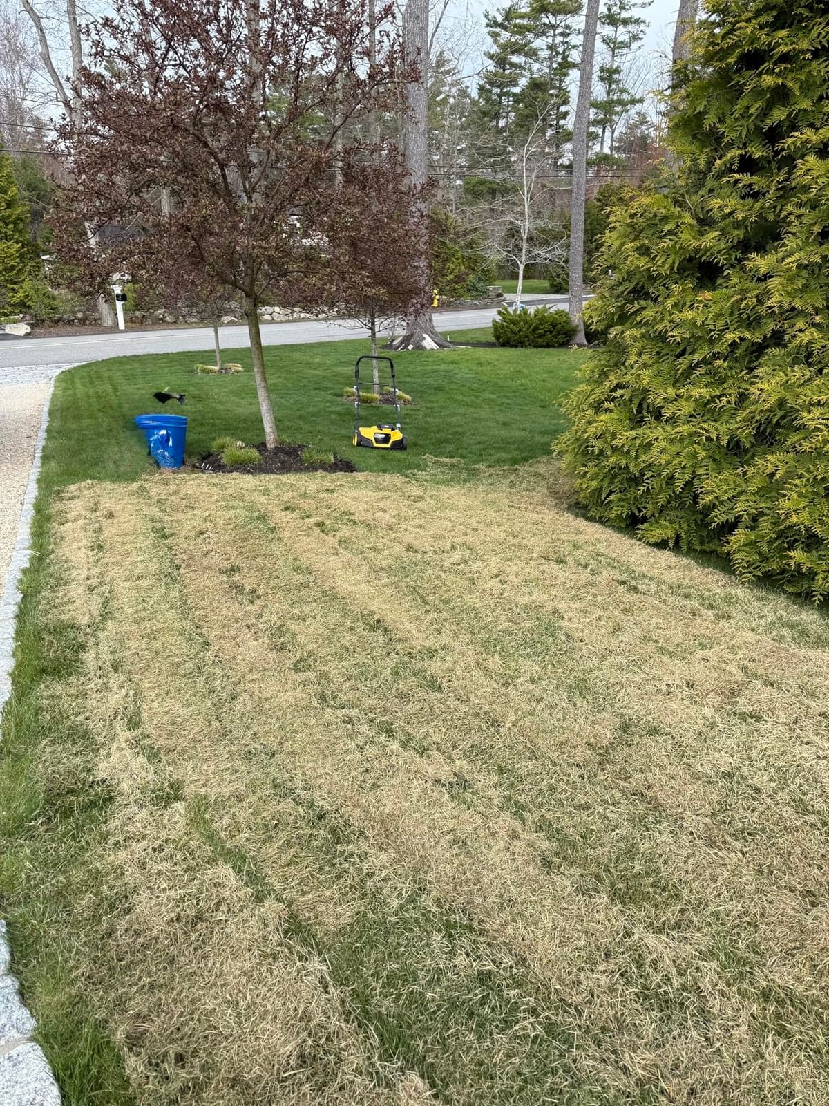 Cordless Lawn Dethatcher and Scarifier Compatible with Dewalt 20V Battery | Tool Only, 15