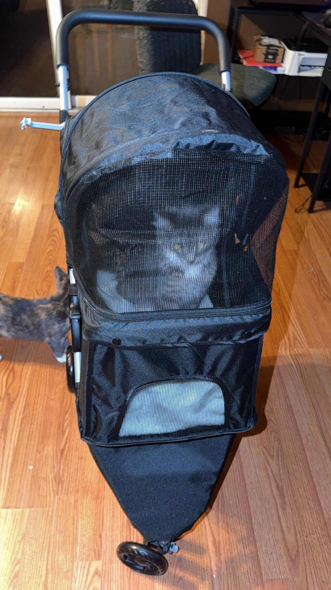 3 Wheel Pet Stroller for Dogs and Cats, Foldable Design | Lightweight and Durable, Ideal for Small to Medium Pets, Includes Storage Basket and Cup Holders, Black customer photo 1