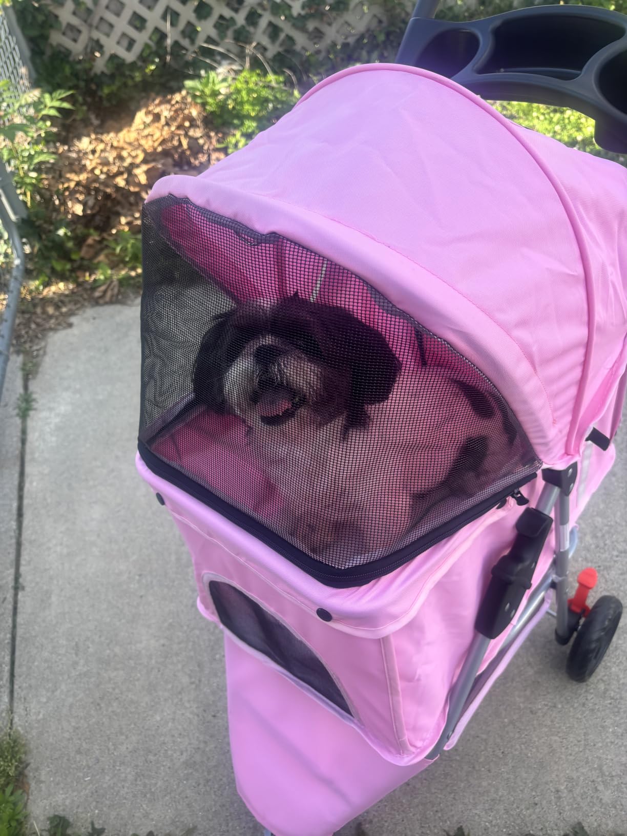 3 Wheel Pet Stroller for Dogs and Cats, Foldable Design | Lightweight and Durable, Ideal for Small to Medium Pets, Includes Storage Basket and Cup Holders, Black customer photo 2