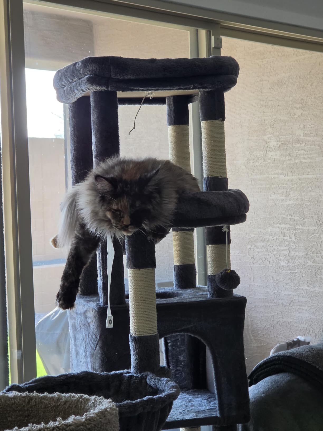 Heybly Cat Tree, 74.8-Inch Spacious & Tall Cat Tower for Large Cats, Cat Furniture with Large Top Perch, Solid Base, 2 Cat Condos, Hanging Hammock, Durable Sisal Scratching Posts, Smoky Gray HCT062G customer photo 2