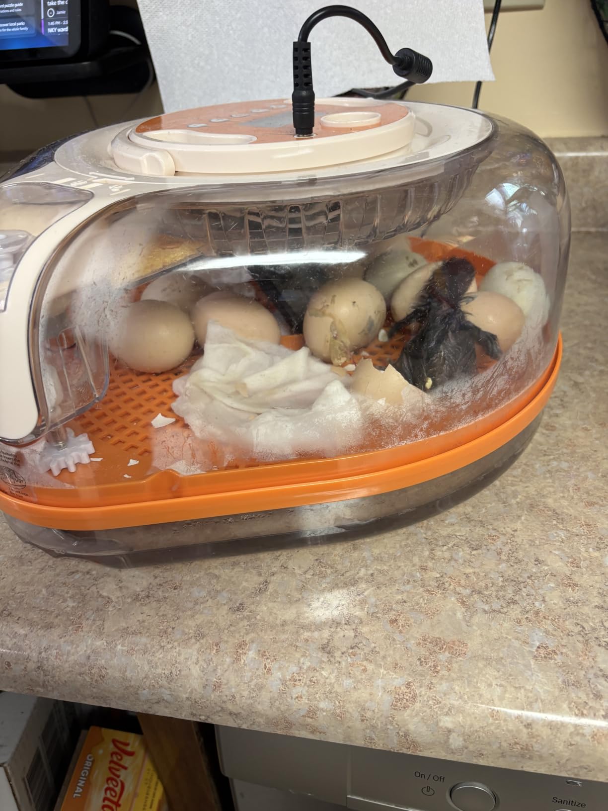 26-Egg Incubators for Hatching Eggs Smart Voice Control Incubator with Auto Temp Humidity Automatic Egg Turning 360° View Built in Egg Candler and Chick Holding Area for Chicken Duck Goose Quail Eggs customer photo 1