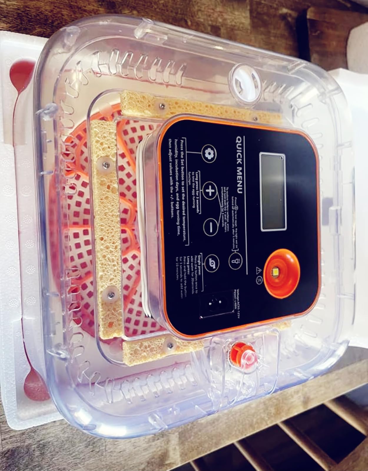 Egg Incubator for Hatching Eggs, 12 Egg Capacity, One-Touch Smart Hatching customer photo 1