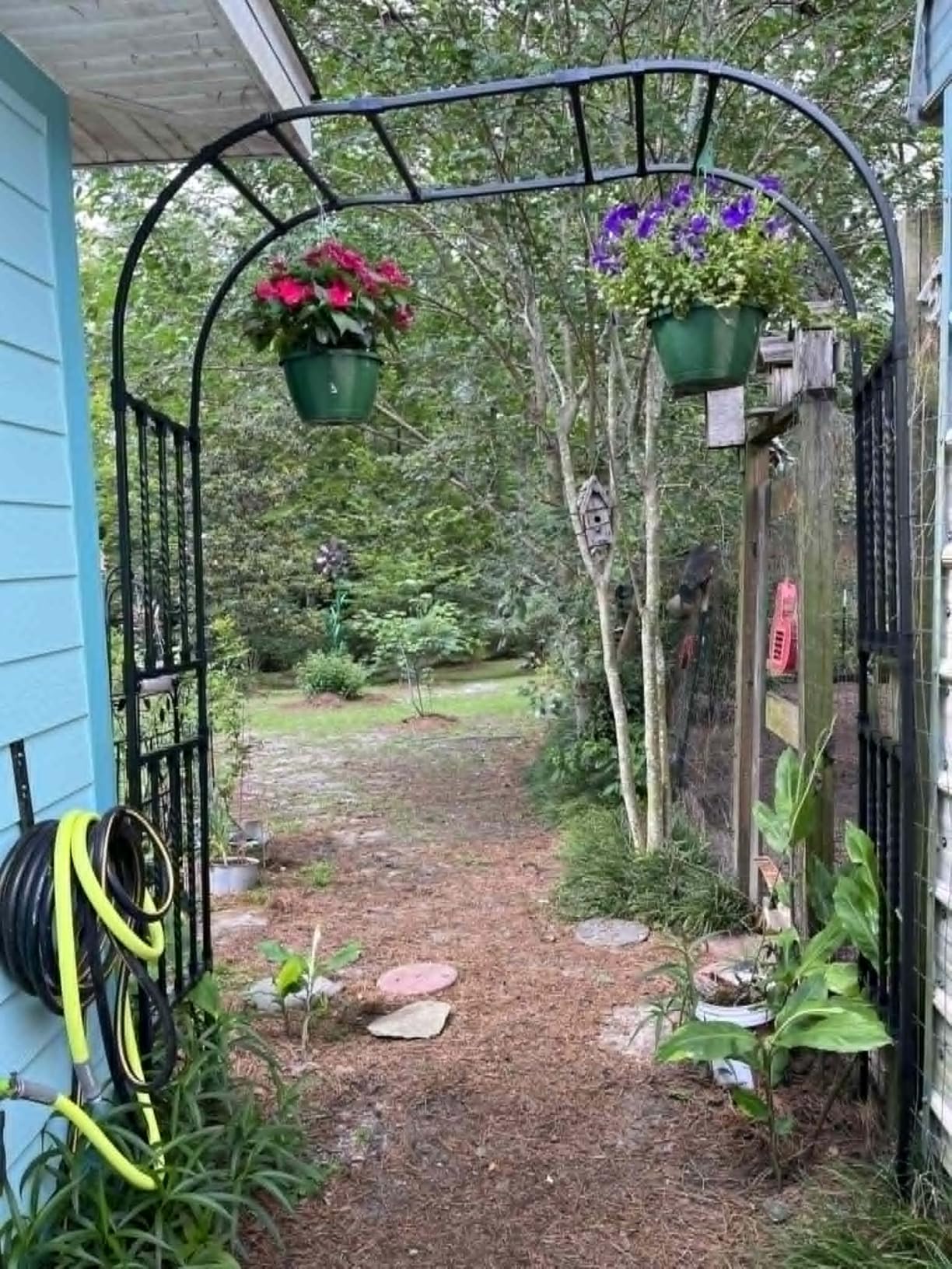 Square Tube Metal Garden Arch Trellis for Climbing Plants, 4.9x7.9FT | Sturdy Metal Arbor For Climbing Vines & Roses, Ideal For Patio, Lawn, Backyard & Wedding Decor, Rust Resistant Frame customer photo 1