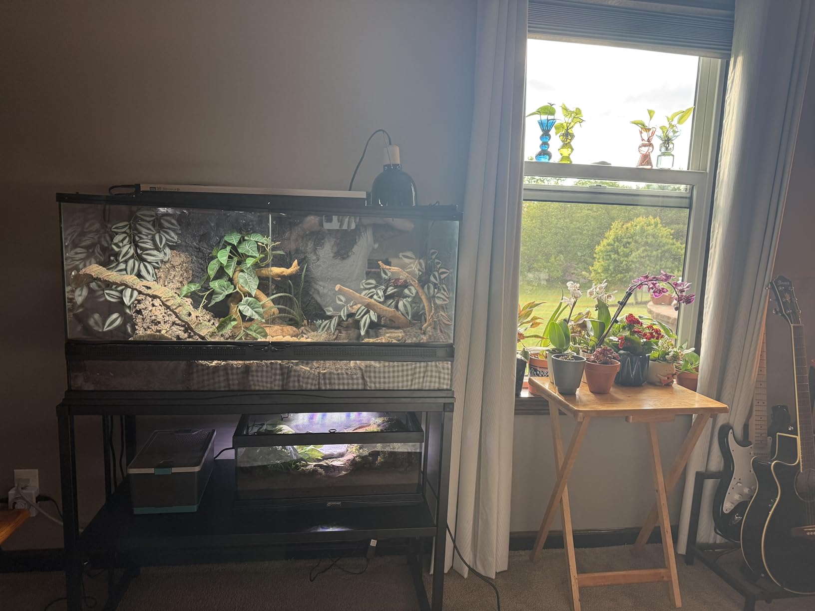 TOCRETOARE Fish Tank Stand 55-75 Gallon, Metal Aquarium Stand, 48.4