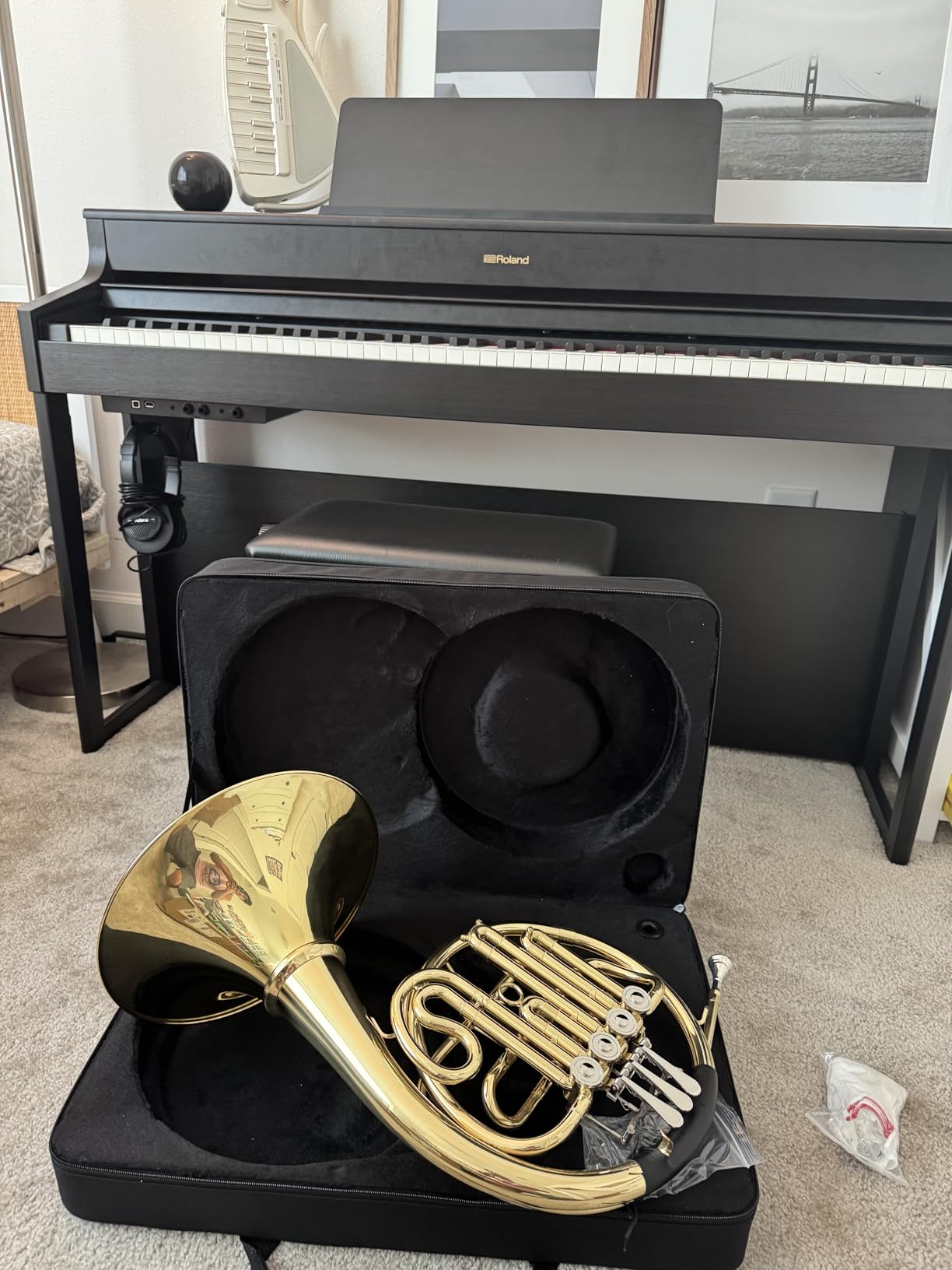 Double French Horn F/Bb Key, Professional 4-Valve Nickel-Plated & Gold Lacquer Brass – Includes Case, Mouthpiece, Gloves & Cleaning Cloth for Students, Musicians & Orchestra Use customer photo 1