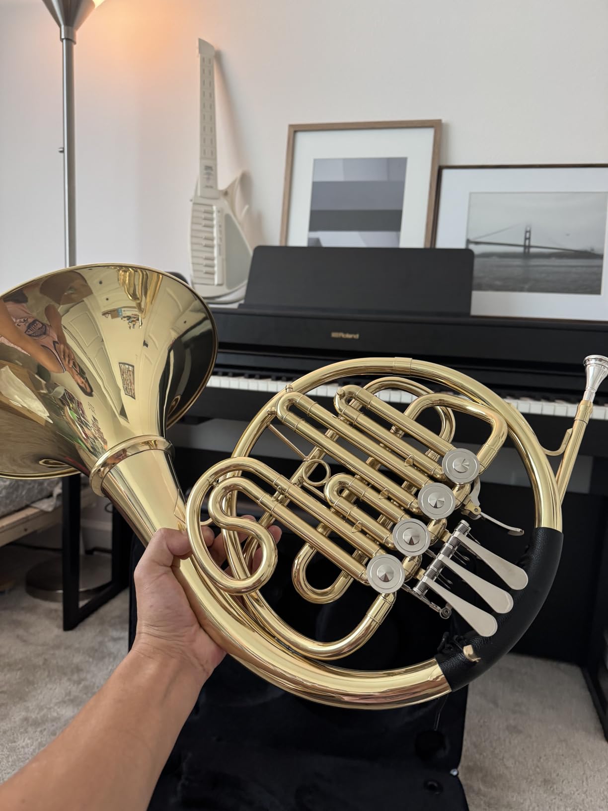 Double French Horn F/Bb Key, Professional 4-Valve Nickel-Plated & Gold Lacquer Brass – Includes Case, Mouthpiece, Gloves & Cleaning Cloth for Students, Musicians & Orchestra Use customer photo 2
