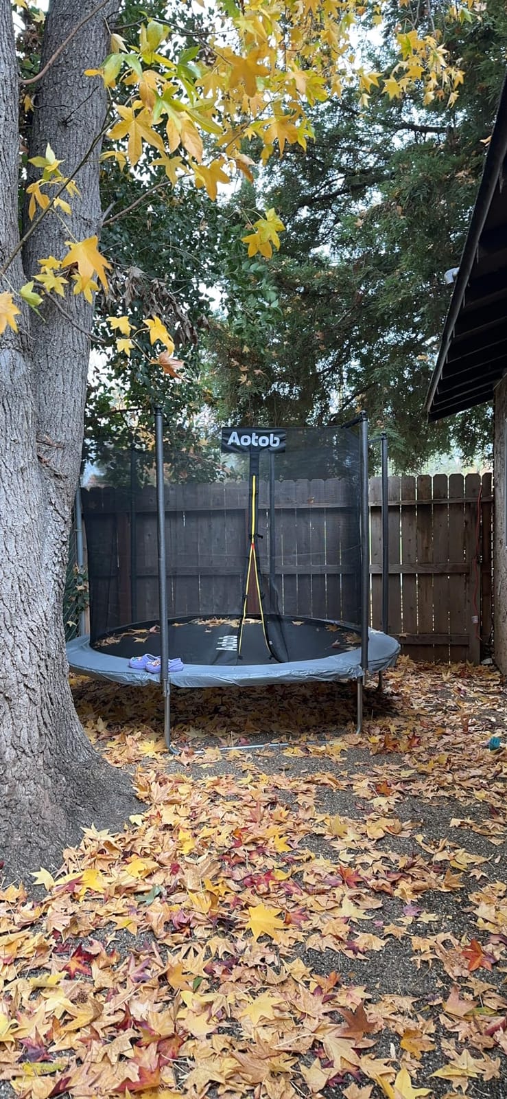AOTOB 12 FT/14 FT Rectangle Trampoline with Net | Perfect Outdoor Rectangular Trampolines for Kids - Gymnastics Style Tranpoline with Enclosure & Ladder , Max Load 440 lbs customer photo 2