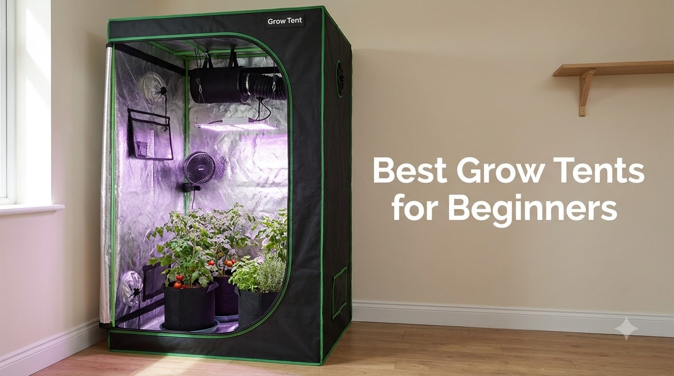 Best Grow Tents for Beginners