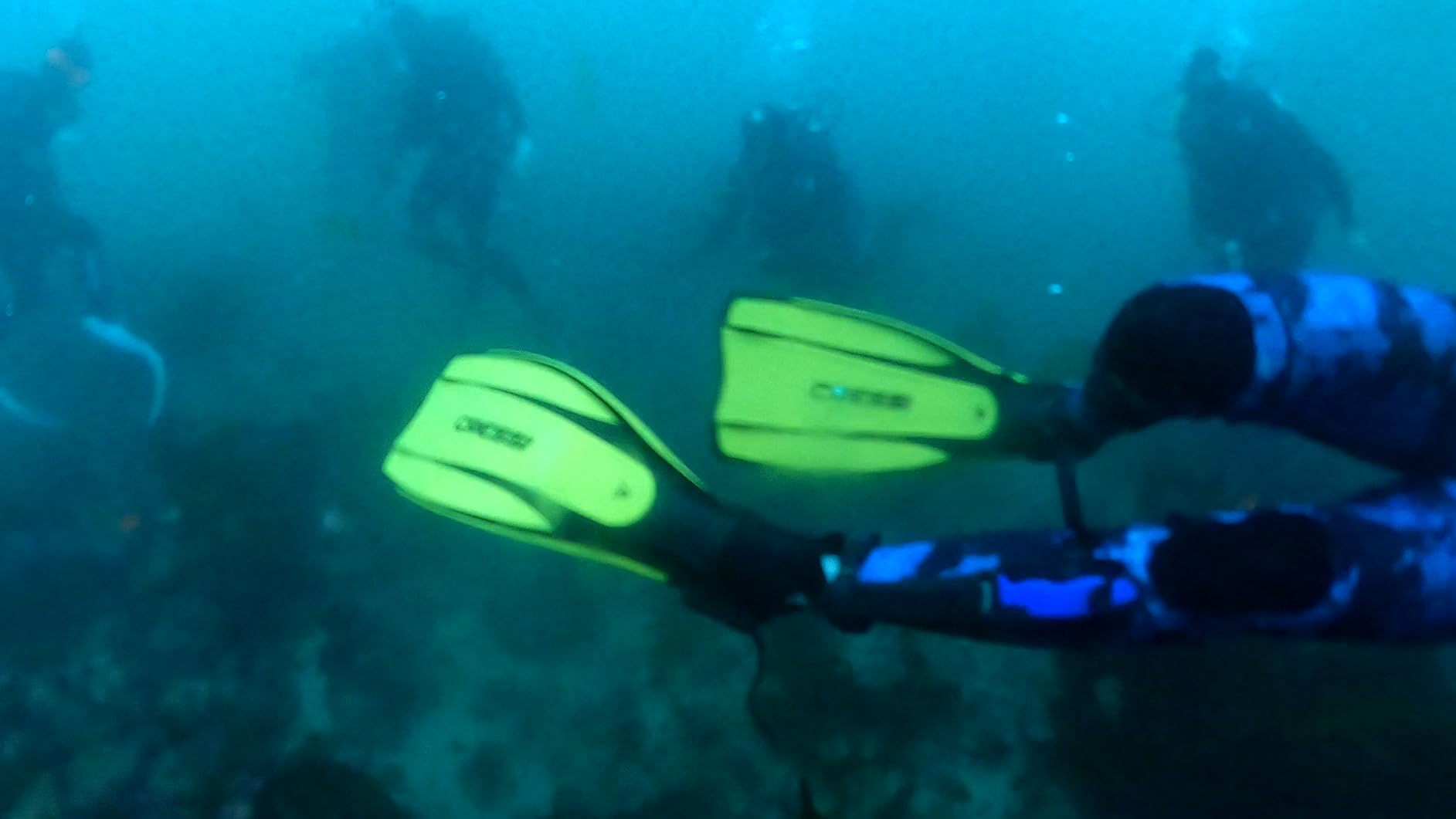 Cressi Scuba Diving Fins, Pro Light, Open Heel, Lightweight, Well-Balanced customer photo 1