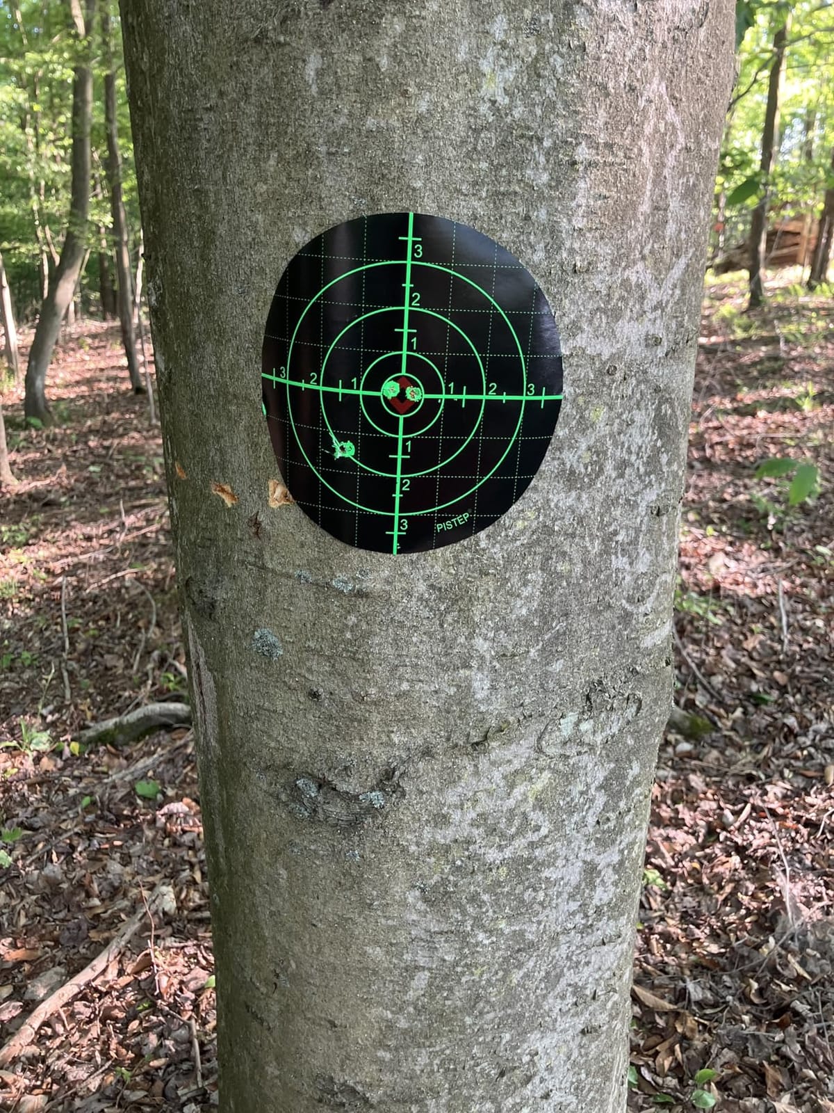 Gamo Silent Cat .177 Caliber Breakbarrel Pellet Air Rifle with 4x32 Scope customer photo 1
