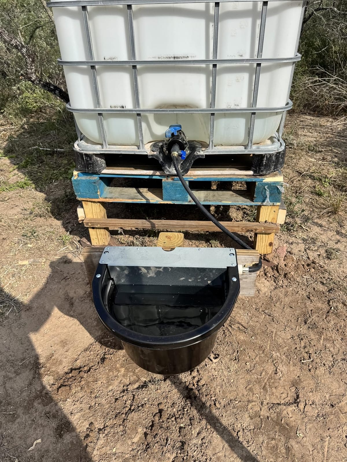 Little Giant® Automatic Animal Waterer | DuraMate Float Controlled Automatic Waterer for Livestock | Heavy Duty and Durable | Made in USA | 4 Gallon (Black, 4 Gallon) customer photo 1