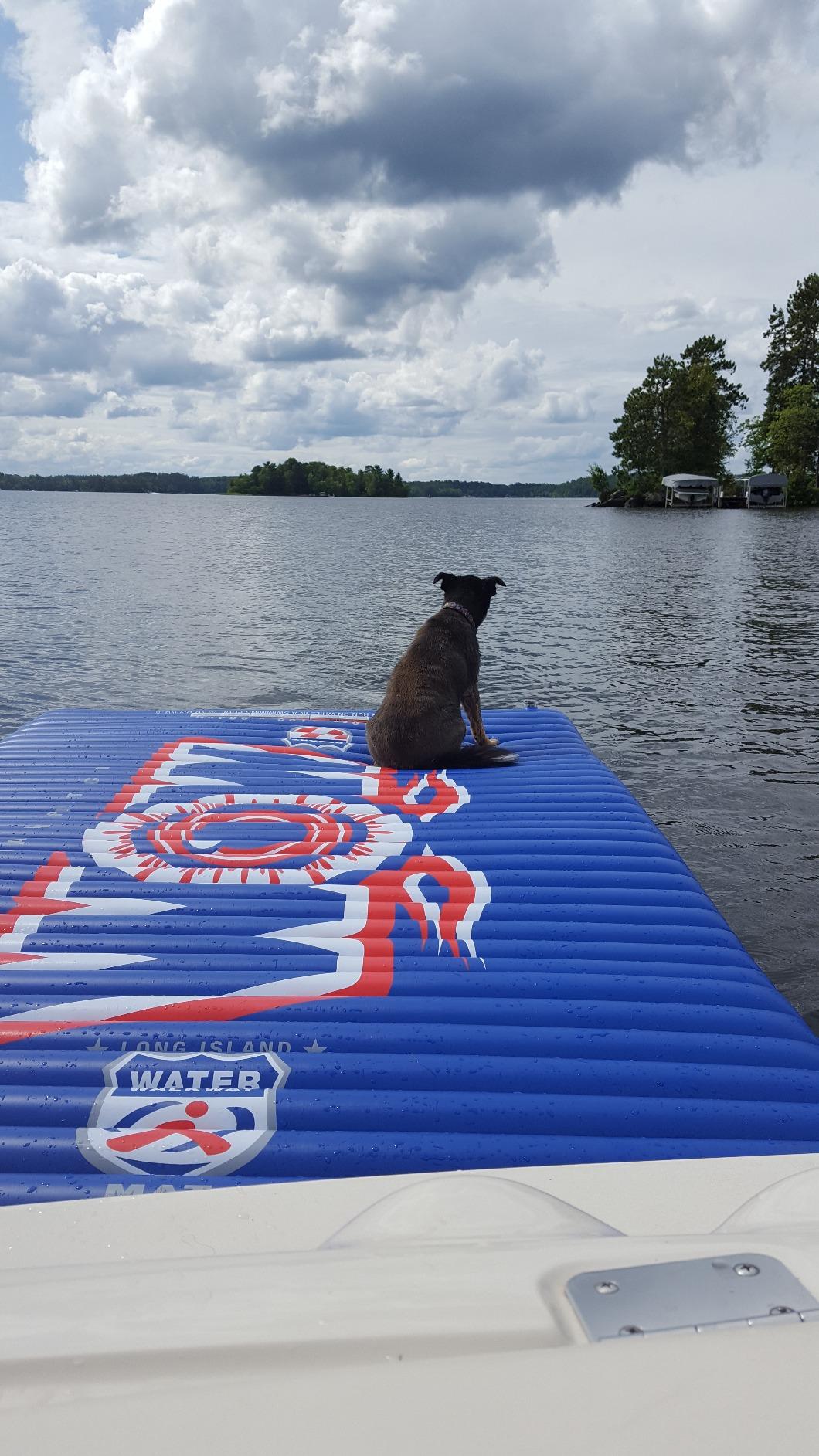 Wow Sports - Inflatable Water Mat - Pool Float Water Walkway - Fun Lake Accessory for Kids & Adults - 10 ft x 6 ft - Attach to Boats customer photo 1