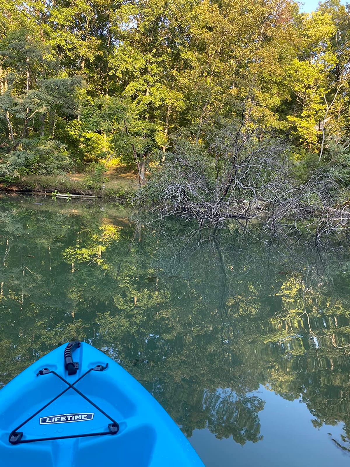 Emotion Spitfire Sit-On-Top Kayak, Orange, 9' customer photo 2