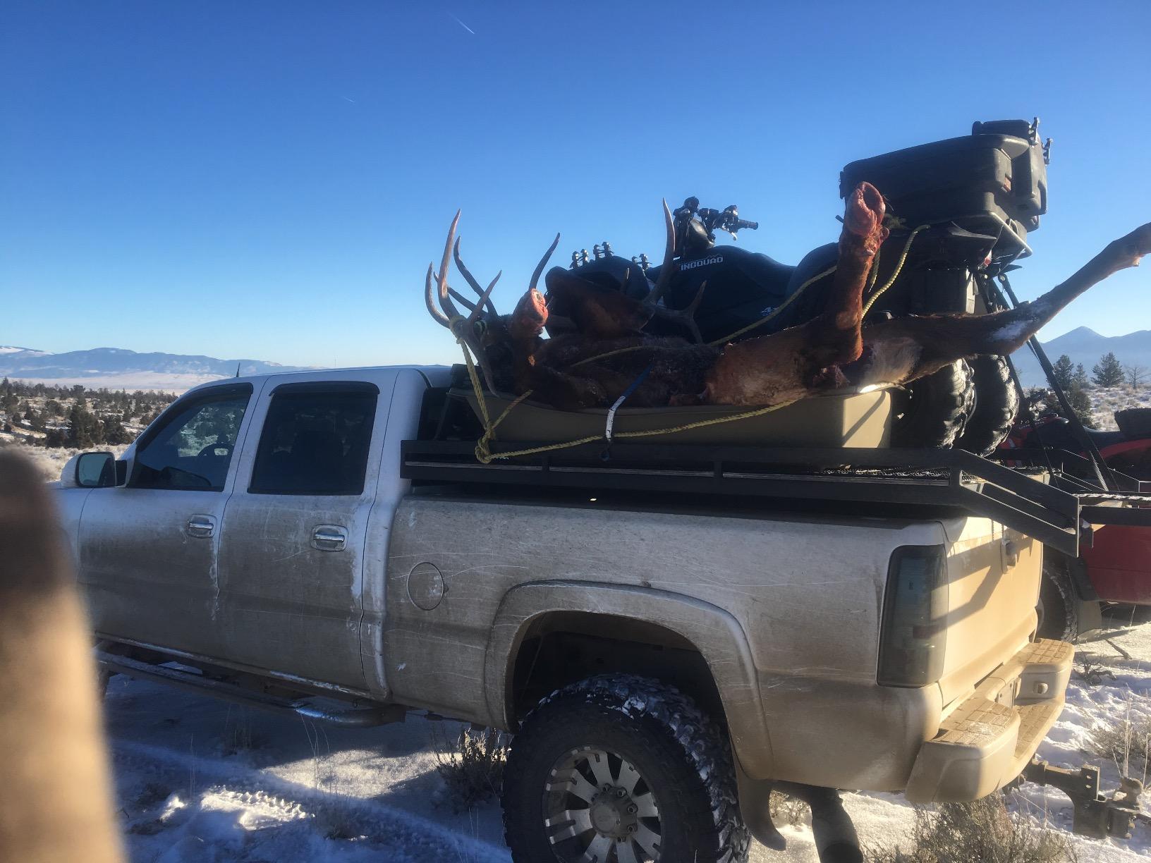 Beavertail Sport Sled customer photo 1