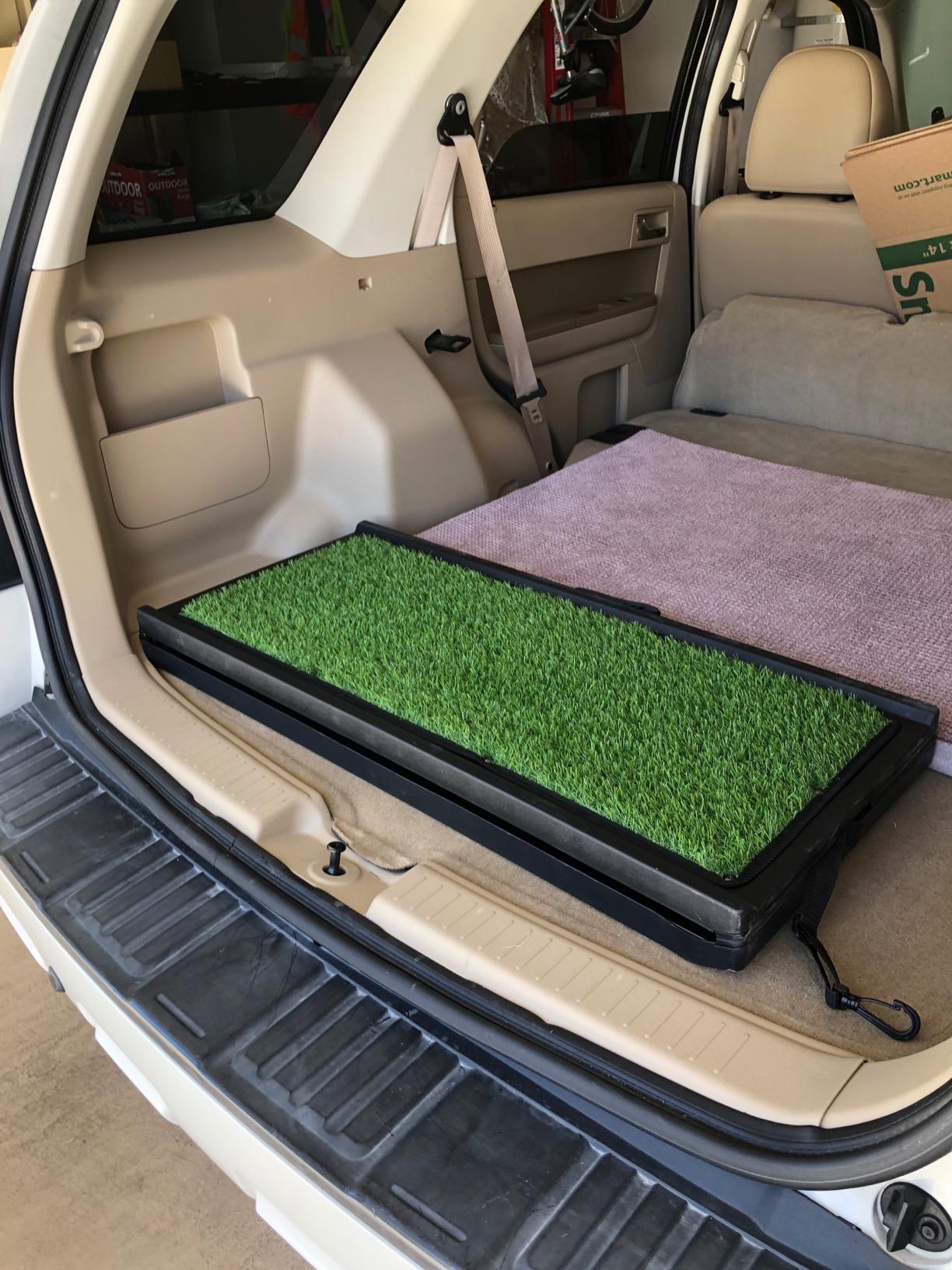 Gen7Pets Natural Step Ramp for Vehicles, 72 Inch customer photo 1