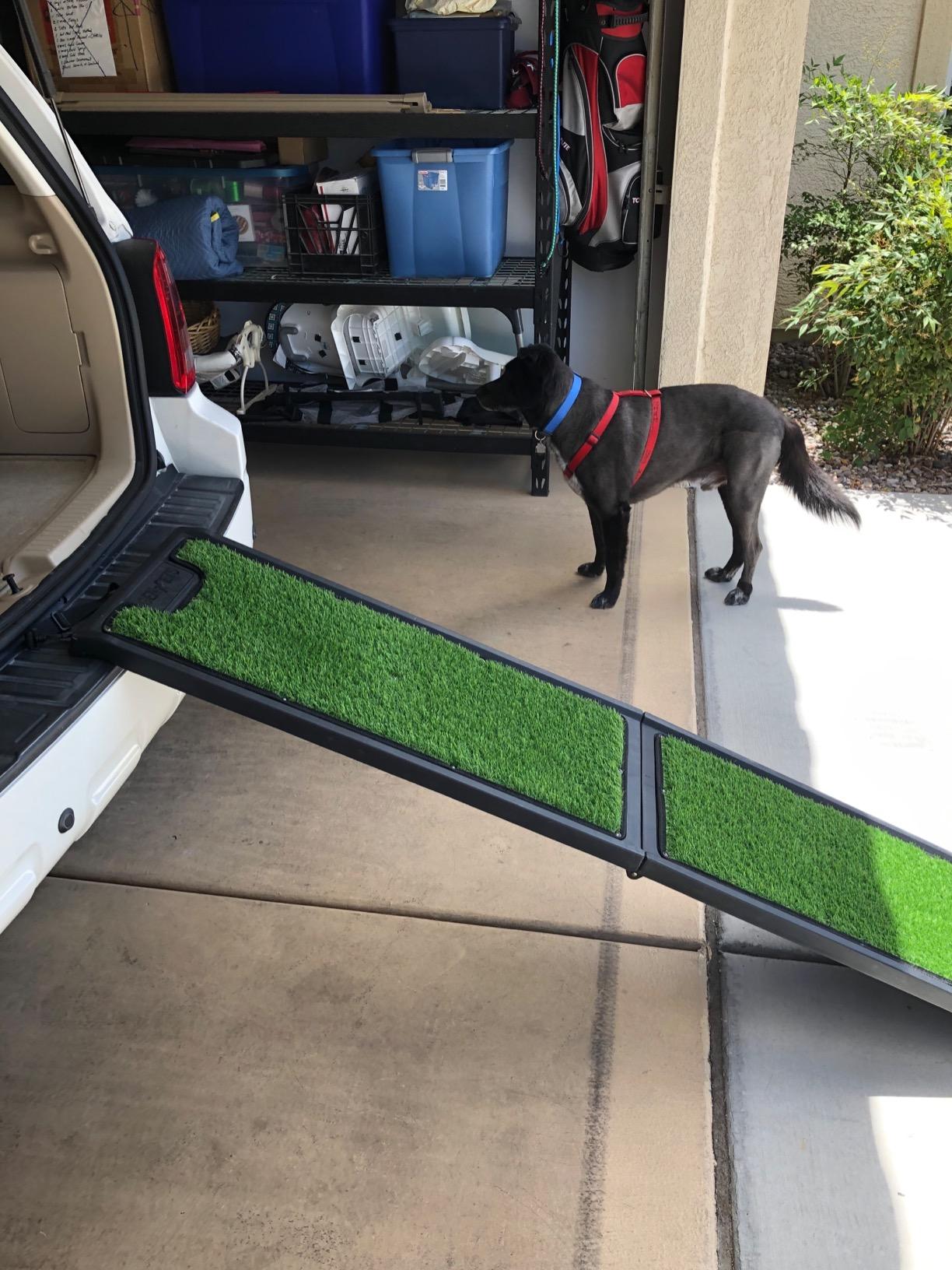 Gen7Pets Natural Step Ramp for Vehicles, 72 Inch customer photo 2