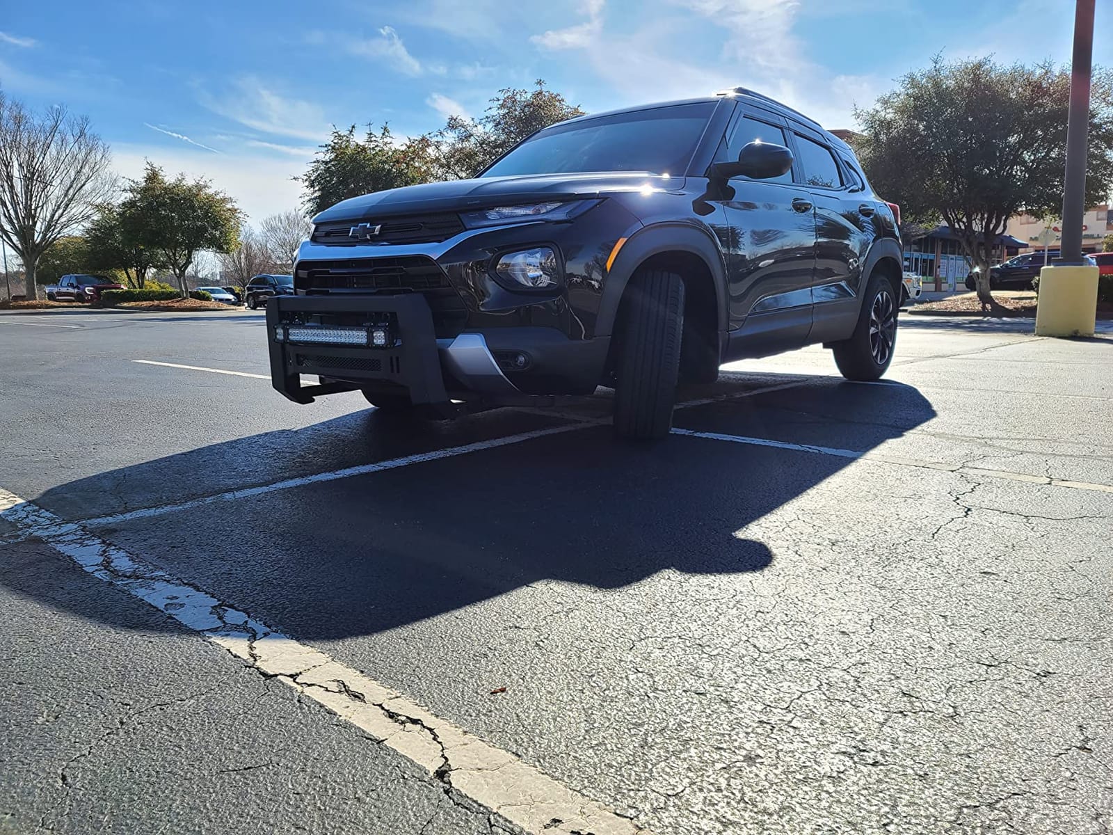 TAC Modular Bull Bar Fit 2004-2026 Ford F150 (Exclude Heritage Edition/All F150 Raptor models/2020-2022 Diesel Models)|2022-2026 F150 Lightning EV Front Guard Fine Textured Mesh Version customer photo 1