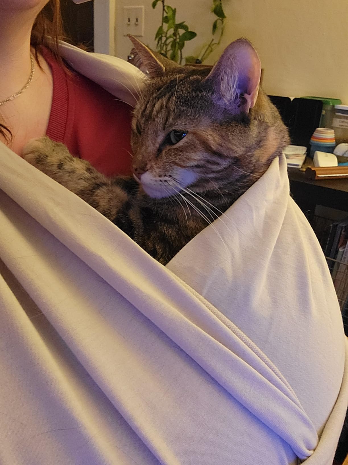 KeaBabies Baby Wrap Carrier, All in 1 Original Baby Carrier (Trendy Black) customer photo 1