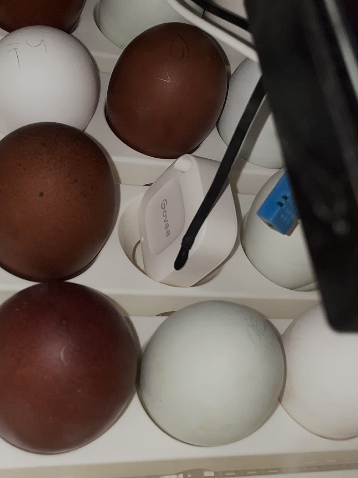 Farm Innovators 2450 Digital Circulated Air Incubator with Egg Turner customer photo 1