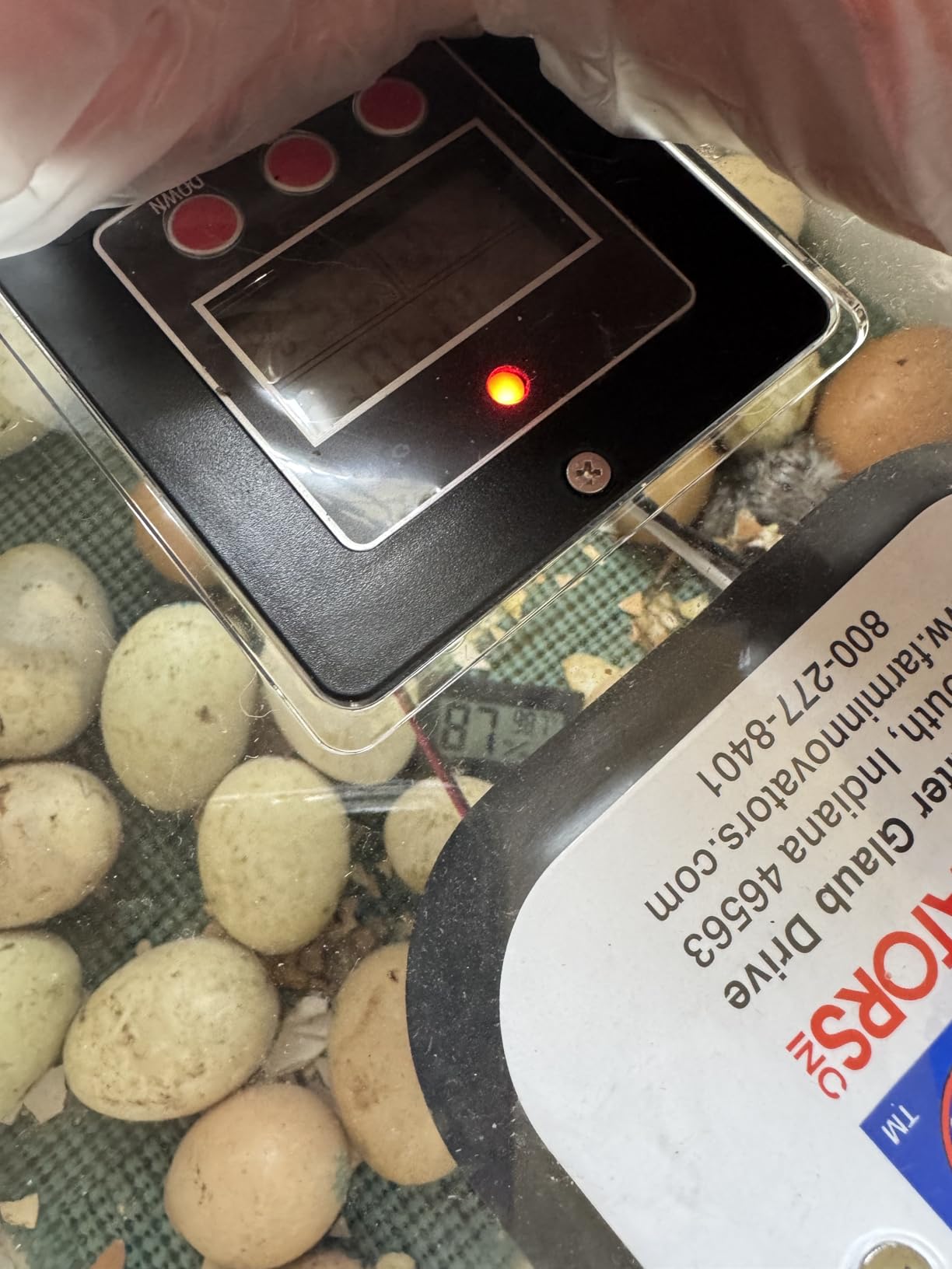 Farm Innovators 2450 Digital Circulated Air Incubator with Egg Turner customer photo 2