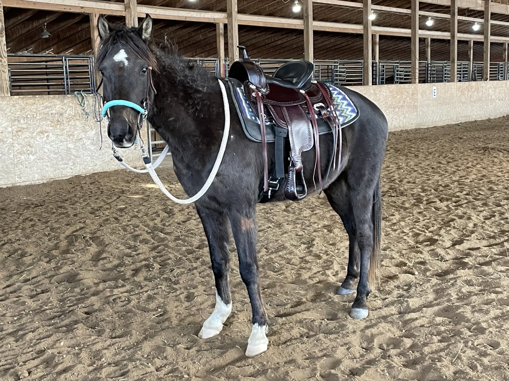 HILASON Western Horse Saddle American Leather Flex Tree Trail & Pleasure customer photo 2