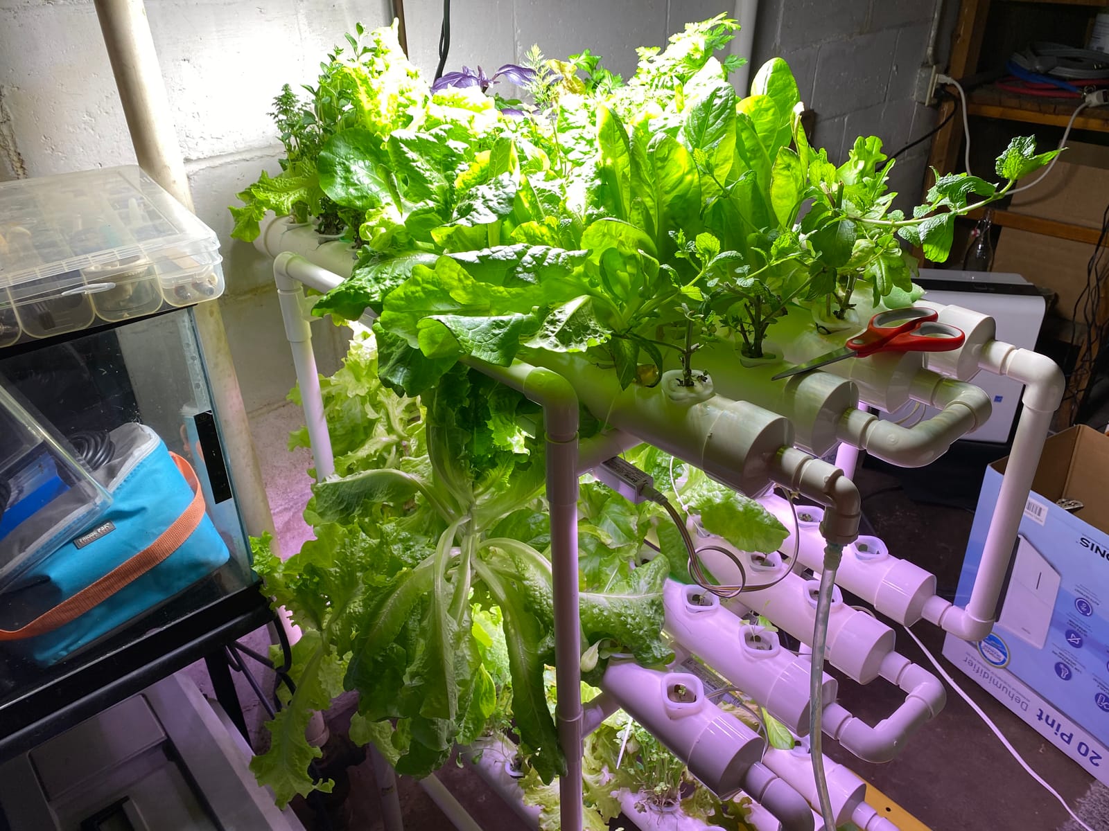 DreamJoy 3 Layers 108 Plant Sites Hydroponic Site Grow Kit 12 Pipes Hydroponic Growing System Water Culture Garden Plant System for Leafy Vegetables Lettuce Herb Celery customer photo 2