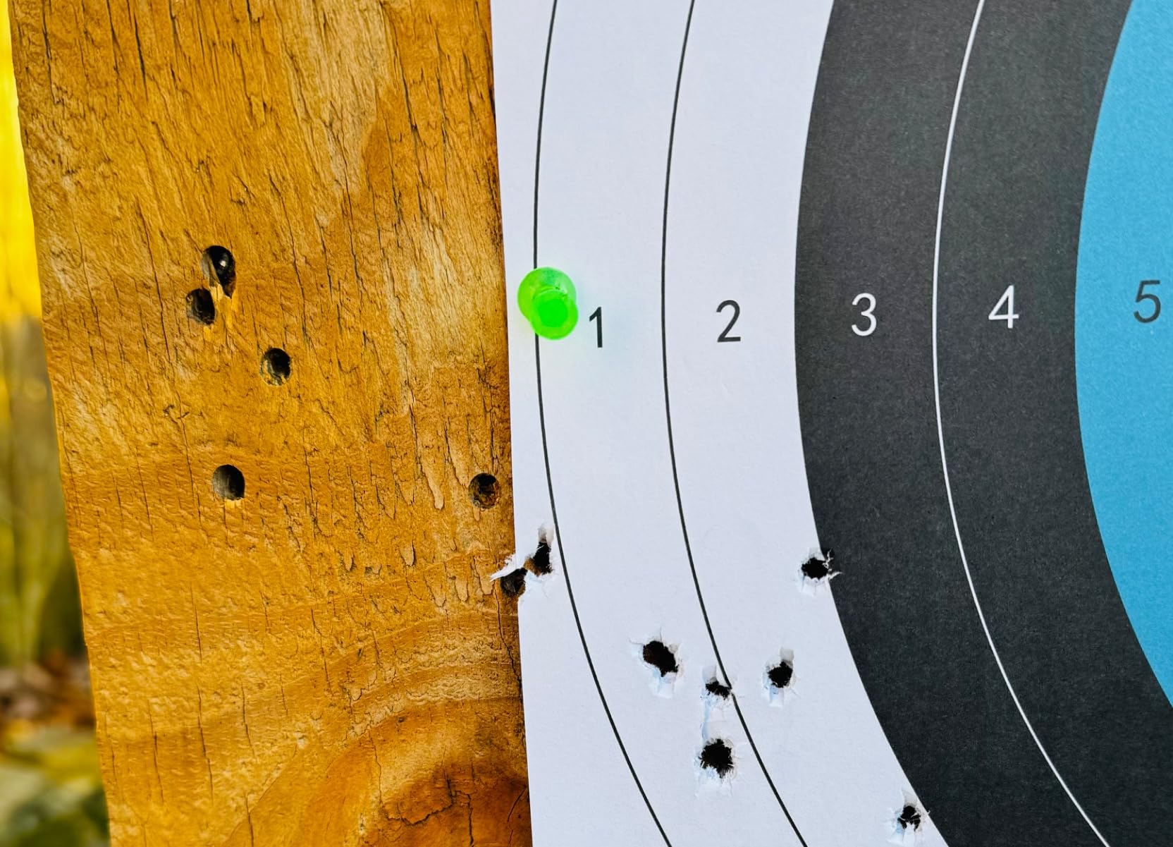 Gamo Swarm Whisper Break Barrel Pellet Air Rifle - 10-Rounds customer photo 1
