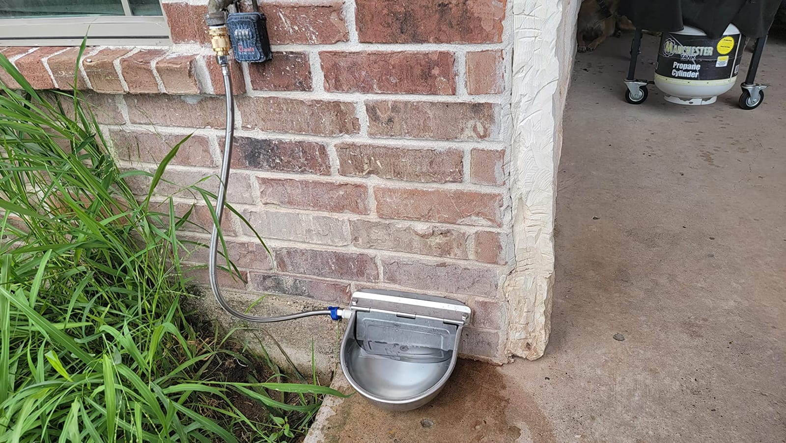 Automatic Cattle Waterer Stainless Steel Dog Water Bowl Outdoor & Indoor customer photo 1