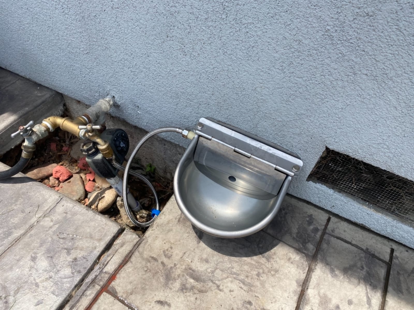 Automatic Cattle Waterer Stainless Steel Dog Water Bowl Outdoor & Indoor customer photo 2